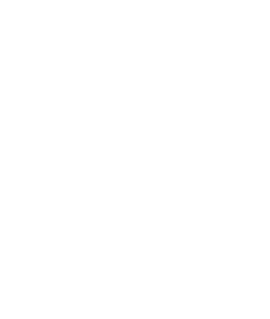 Logo-Aeróleo1